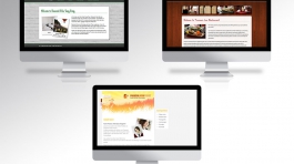 portfolio04_websites